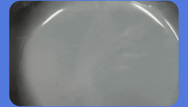 51fe2117920d4b0731d6e31db0a58d94_1741592015_8984_1741593631.gif