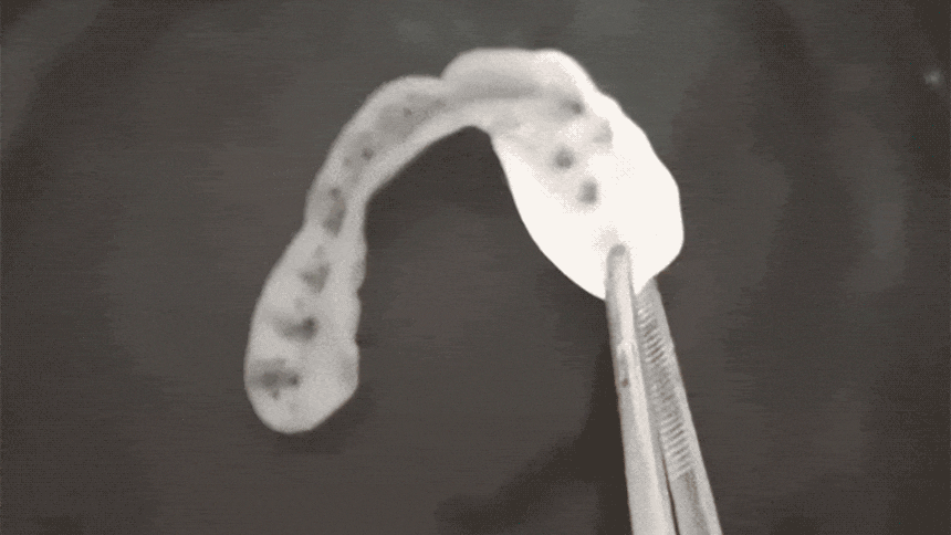 51fe2117920d4b0731d6e31db0a58d94_1741593897_9335.gif