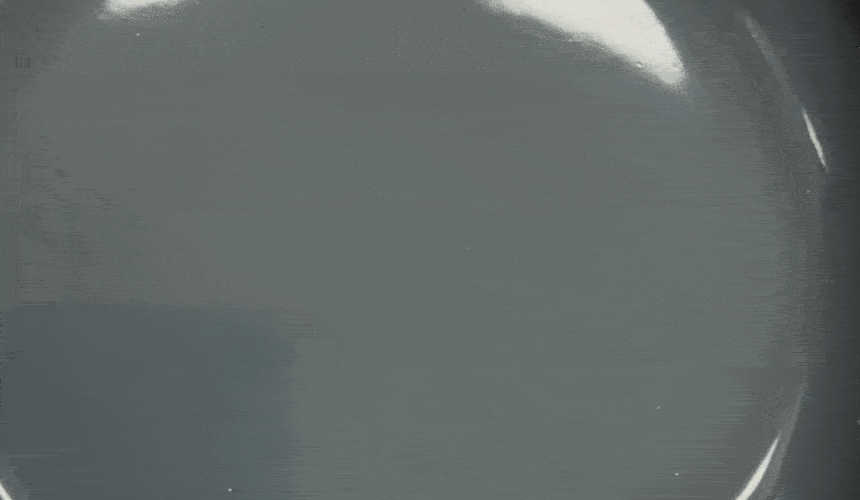 51fe2117920d4b0731d6e31db0a58d94_1741594329_9939.gif
